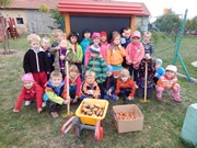 Sklízíme úrodu na zahrádce